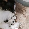 donsingleton5